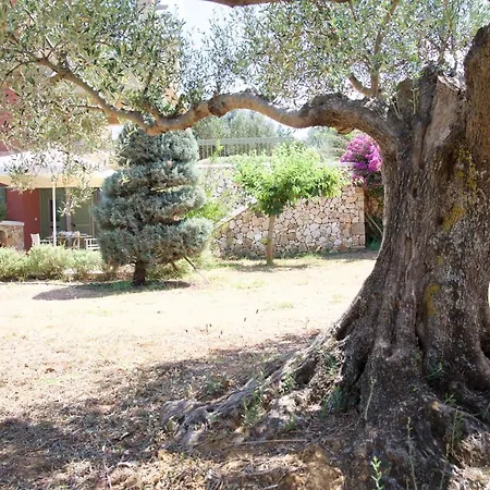Cephalonia Verde 2